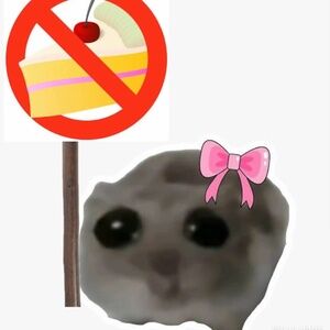 Meet your Posher, Kamar